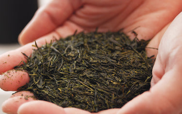 Let's Enjoy Sayama Tea, a Japanese Top 3 Green Tea!