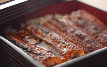 Let's Restore Energy with Eels on a Day of the Ox!