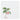 Artec Laminated Paper Food Serving Sheet Coralberry