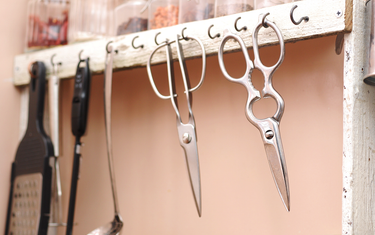 Professional tools can be used at home. ― Ideal Kitchen Scissors.