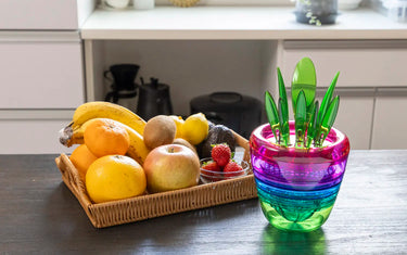 The Fruits Plant with fruit basket