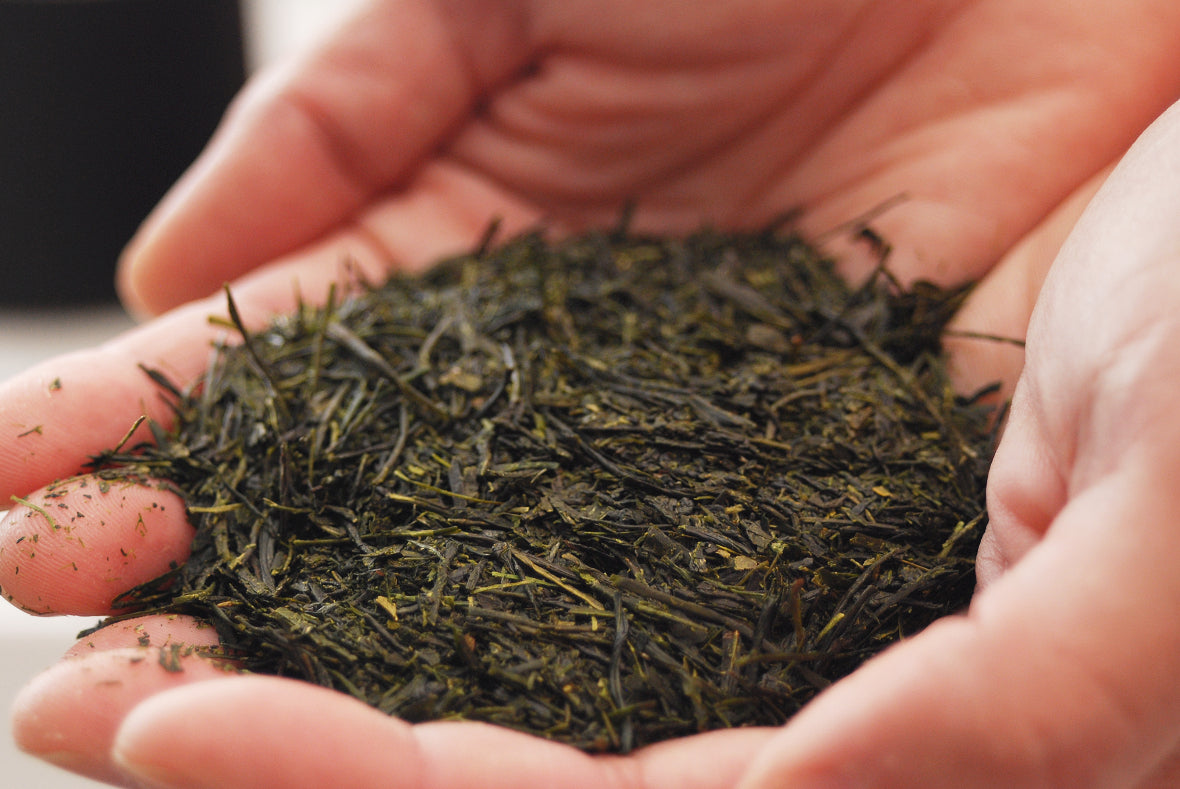 Let's Enjoy Sayama Tea, a Japanese Top 3 Green Tea!