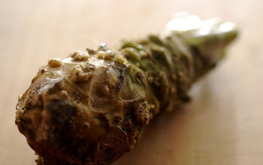 The Profound Attraction of Wasabi