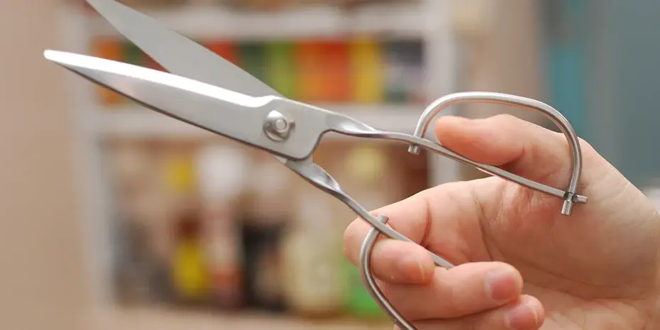 Toribe Stainless Steel Take-Apart Kitchen Scissors - Globalkitchen