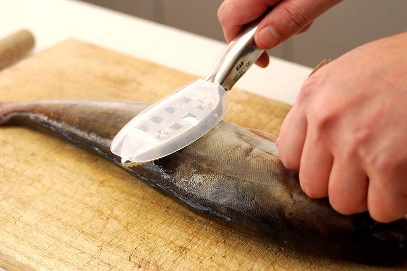 A Must Item for Cooking Fish - Fish Scaler