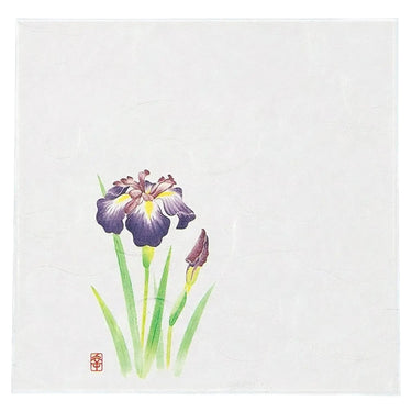 Artec Laminated Paper Food Serving Sheet Iris