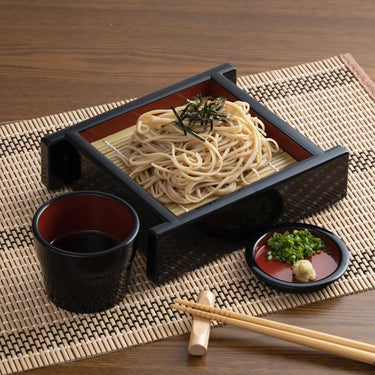 EBM ABS Resin Soba Serving Box