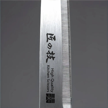 Green Bell Takuminowaza Stainless Steel Kitchen Scissors Long