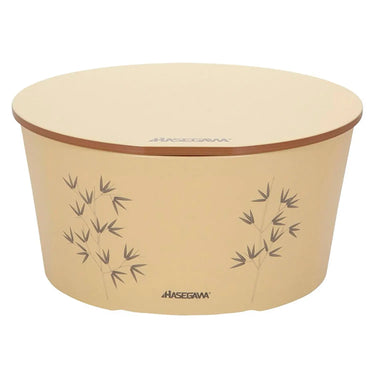 Hasegawa Polyethylene Antibacterial Ohitsu Rice Container