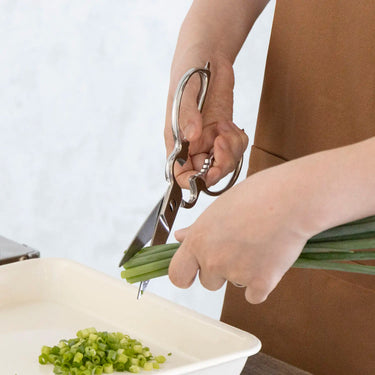 Houei High Carbon Stainless Steel Take-Apart Kitchen Scissors