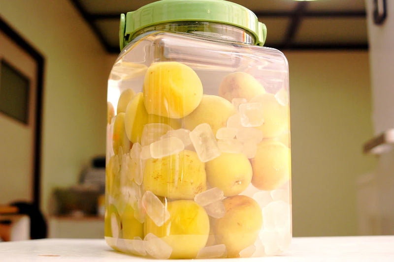 How to Make Plum Wine