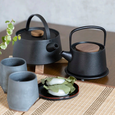 Ikenaga Tetu Nambu Cast Iron Tetsukyusu Teapot
