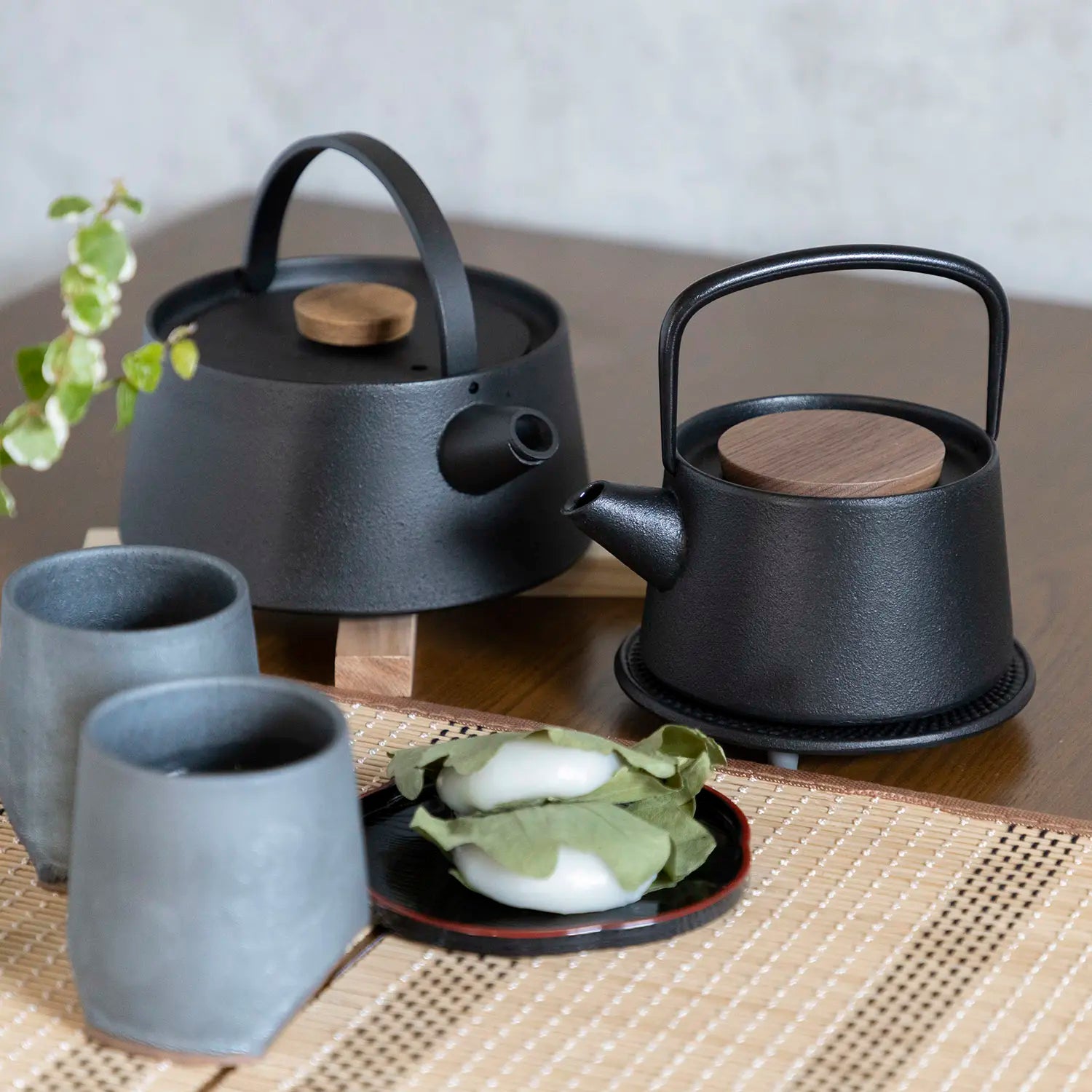 IKENAGA Induction Cast-Iron Tetsubin Kyusu Teapots