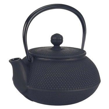 Iwachu Nambu Cast Iron Tetsukyusu Teapot Arare with Tea Strainer
