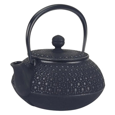 Iwachu Nambu Cast Iron Tetsukyusu Teapot Kikko