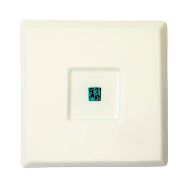 Seikou Kissho Porcelain Kutani Coaster Chidori
