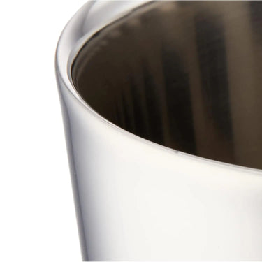 Shimoryu SR II Stainless Steel Double-Wall Tumbler 300ml