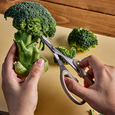 Silky Stainless Steel Multipurpose Scissors