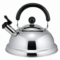Takei-Kibutsu Quick One Stainless Steel Induction Whistling Kettle 2.5L