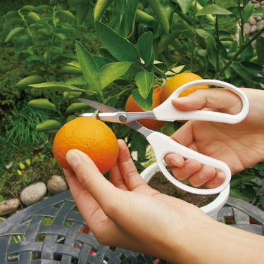Ars High Carbon Cutlery Steel Scissors
