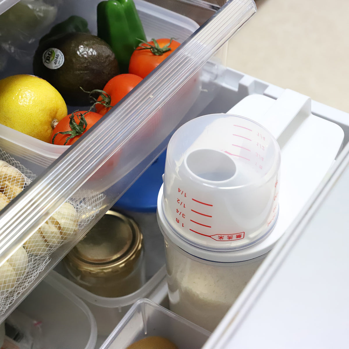 Asvel Polypropylene Sealed Rice Storage Container - Globalkitchen Japan