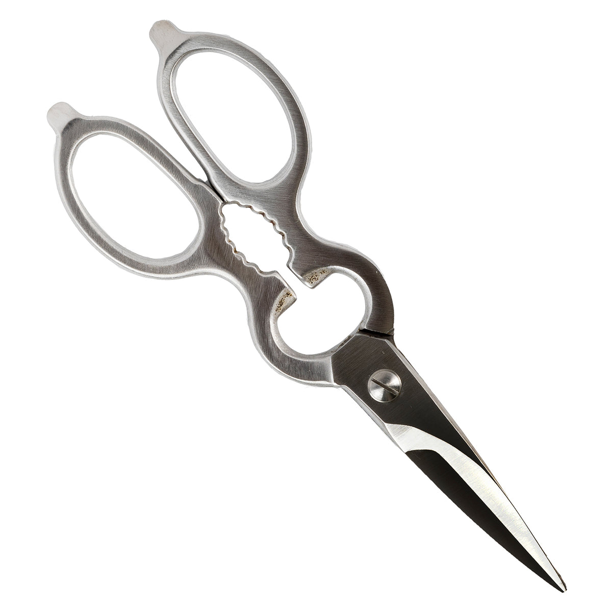 Hayashi Stainless Steel Kitchen Scissors