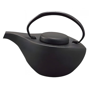 Iwachu Nambu Cast Iron Tetsukyusu Teapot Hikifune