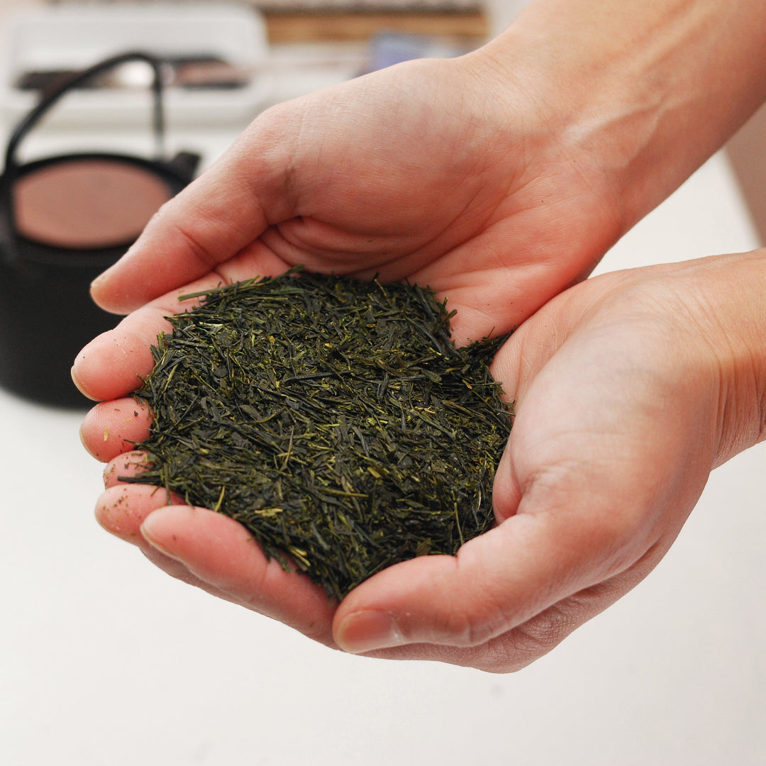 Sayamacha Japanese Fukamushi Sencha Green Tea (Loose Tea) 100g