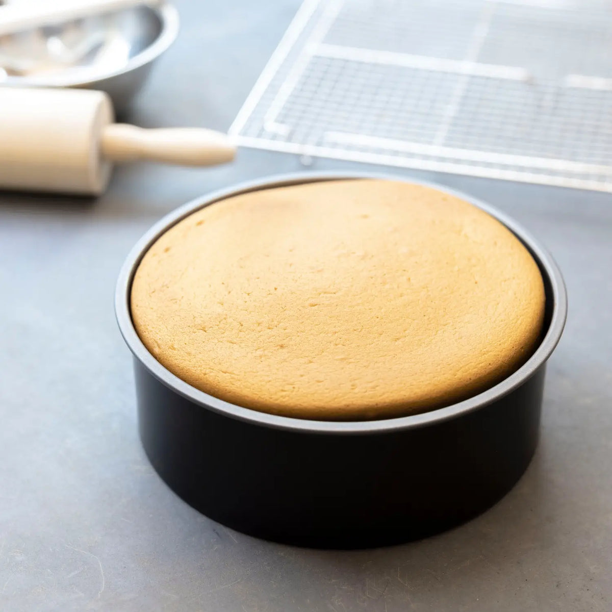 SHIMOTORI Tin Plate Round Cake Pan
