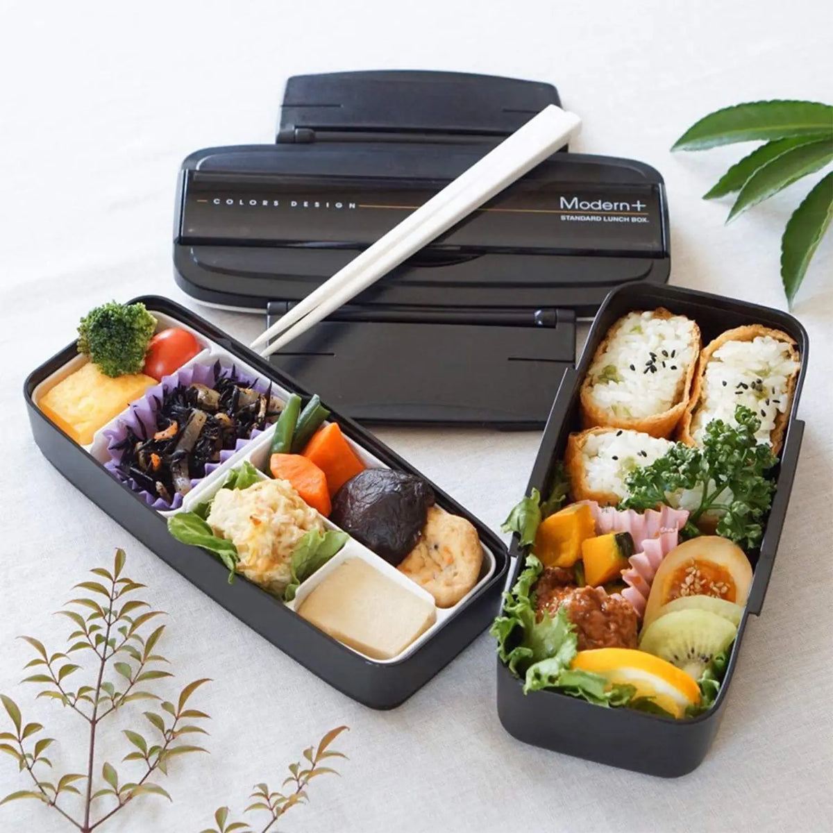 Skater Modern+ Polypropylene Shokado 2-Tier Bento Lunch Box
