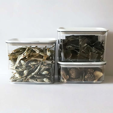 Takeya Freshlok AS Resin Food Container