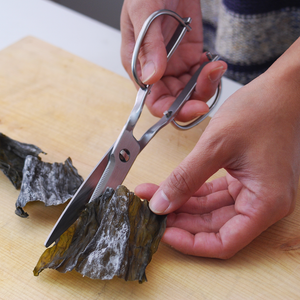 INTECKaneki Stainless Steel Take-Apart Kitchen Scissors - Globalkitchen  Japan