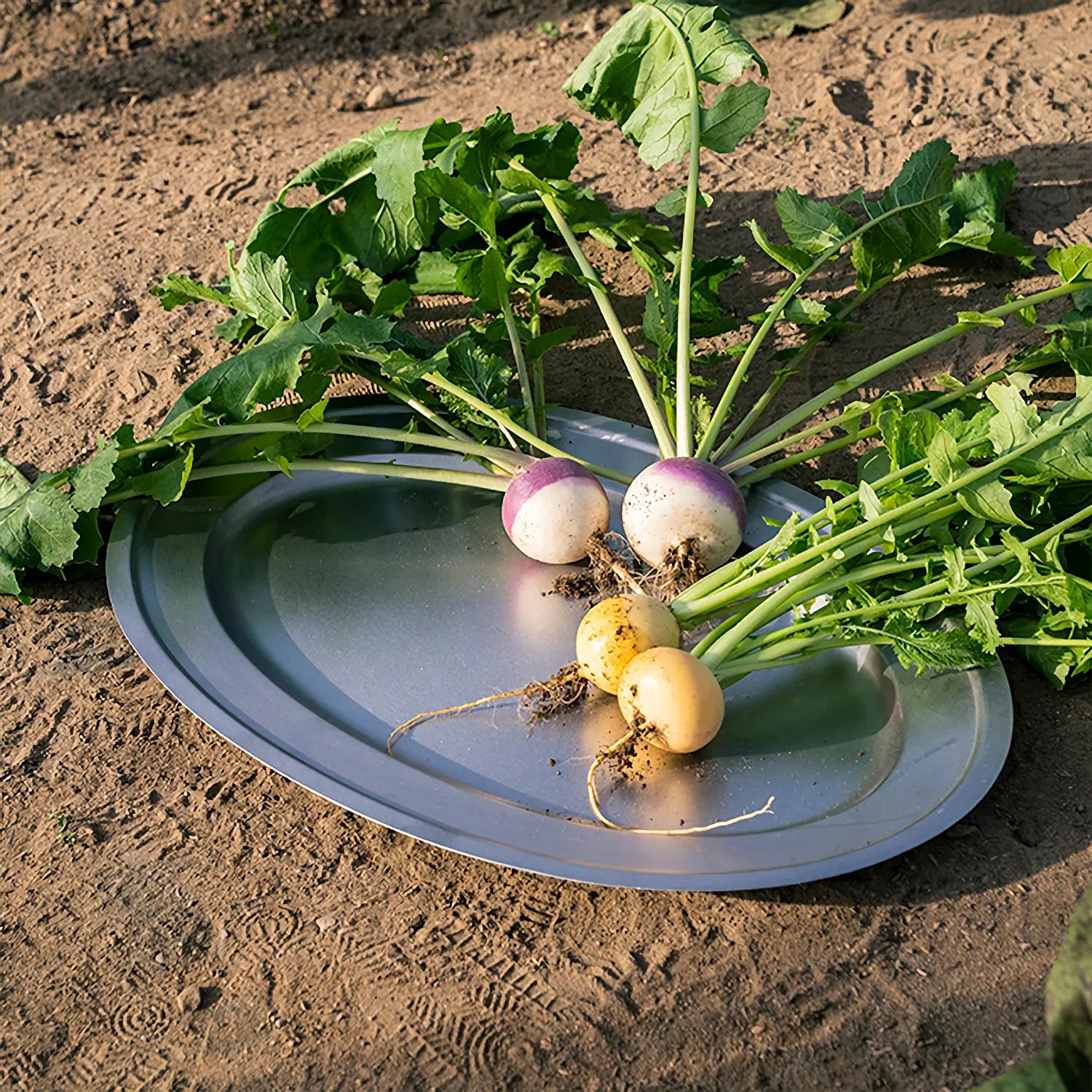 Aoyoshi Vintage Stainless Steel Oval Plate – Globalkitchen Japan