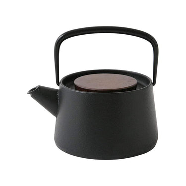 IKENAGA Induction Cast-Iron Tetsubin Kyusu Teapots