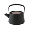 IKENAGA Induction Cast-Iron Tetsubin Kyusu Teapots