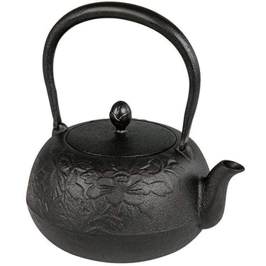 Ikenaga Nambu Tetsubin ZUIKOU (3 Colours) Black Kettles