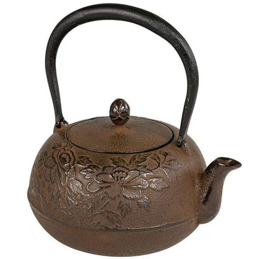 Ikenaga Nambu Tetsubin ZUIKOU (3 Colours) Brown Kettles