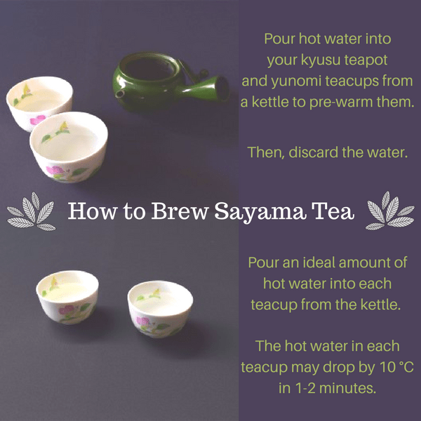 Sayamacha Japanese Fukamushi Sencha Green Tea (Loose Tea) 100g Sencha (Green Tea)